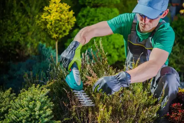landscaping services Tompkinsville
